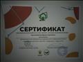 Сертификат организатора Всероссийского урока "Эколята - молодые защитники природы"